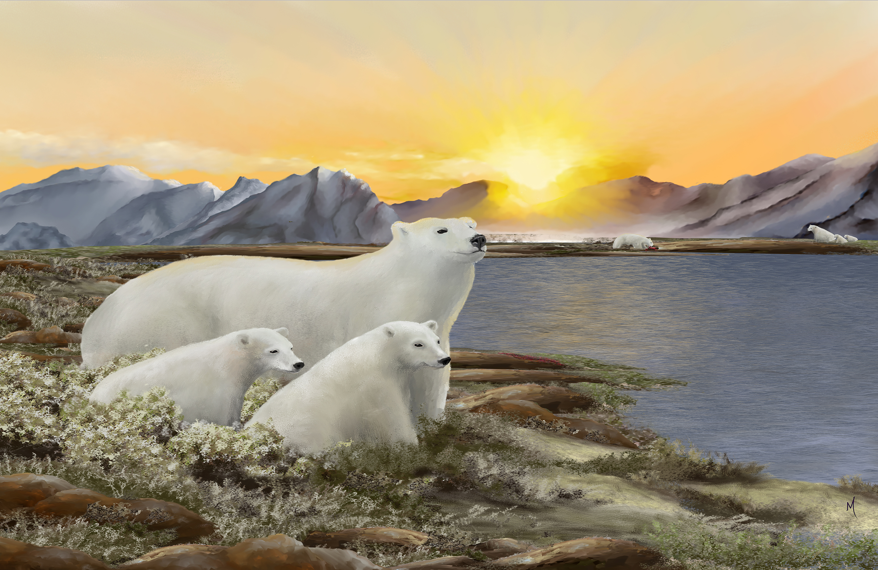 Polar Bears