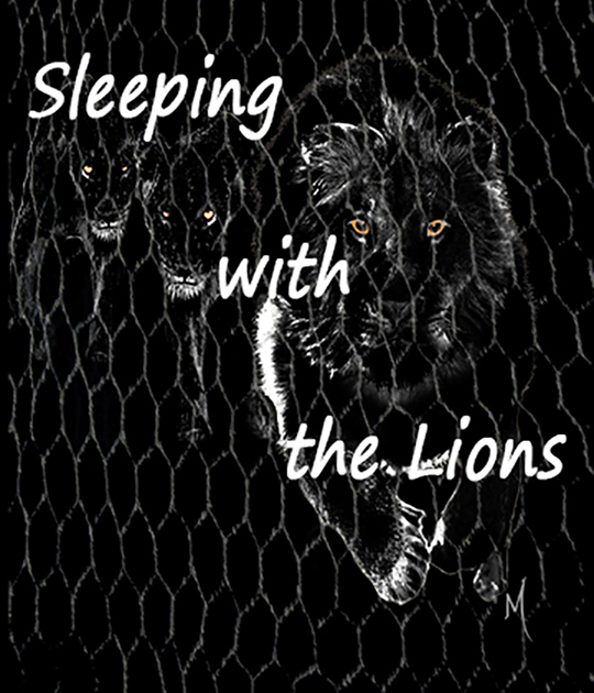 Sleeping.with.the.Lions