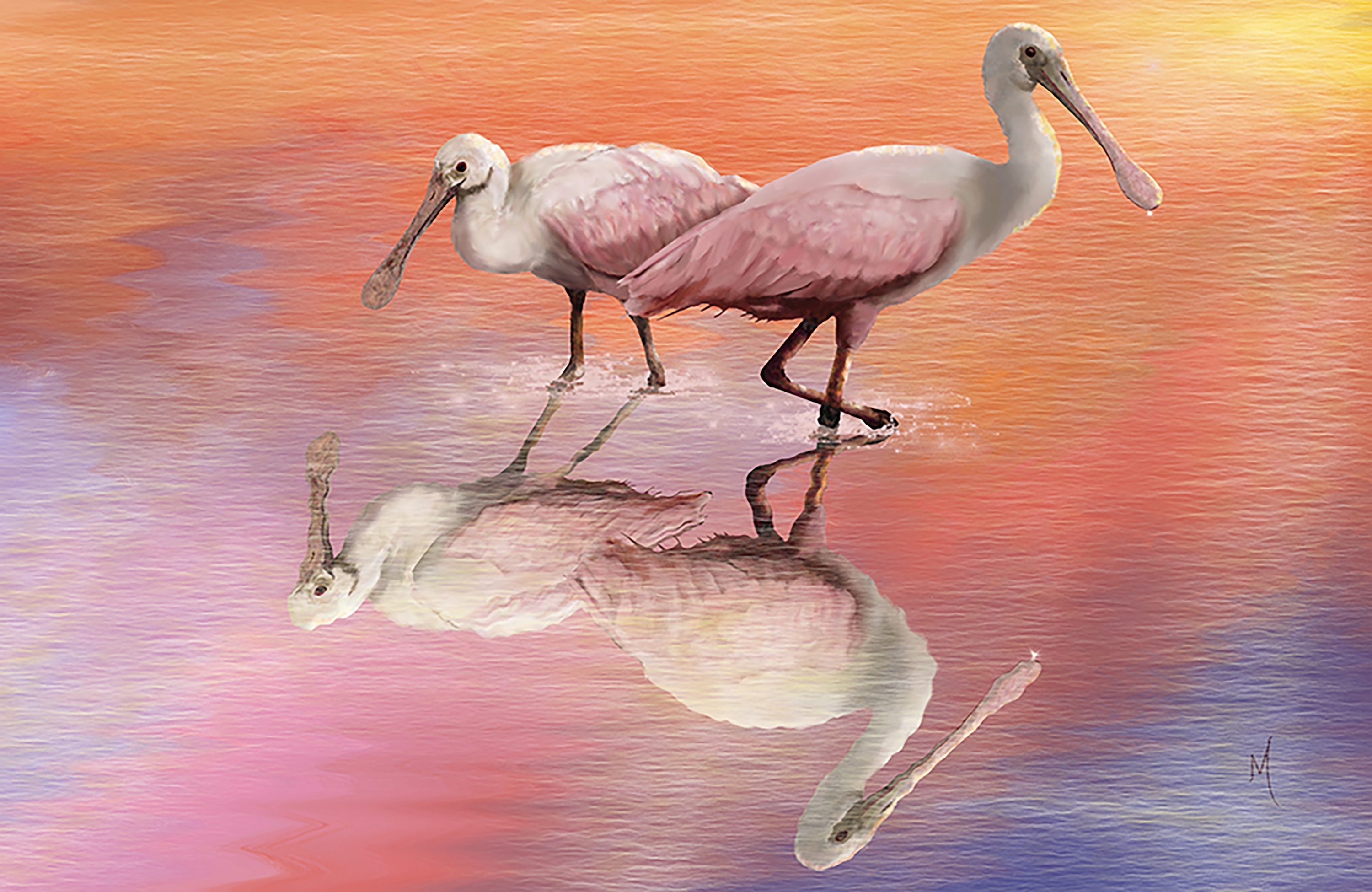 Spoonbills