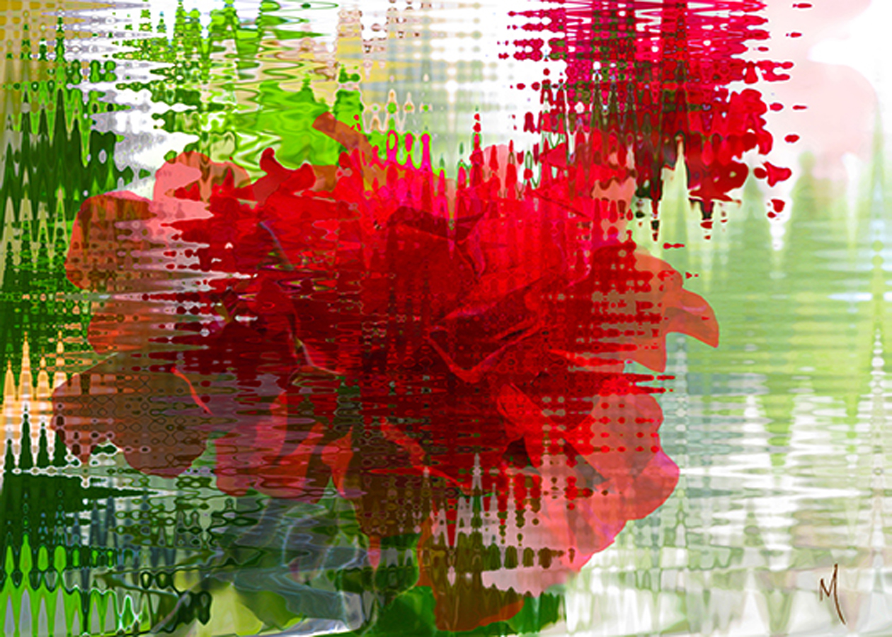 Geranium