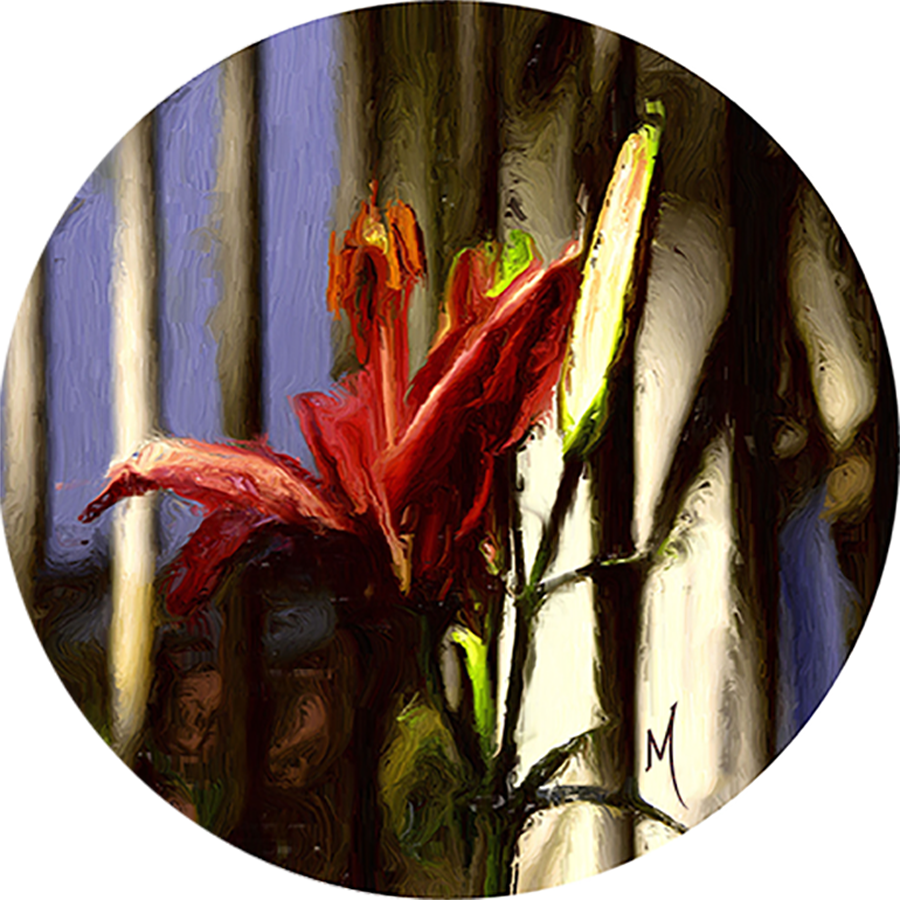 Lily