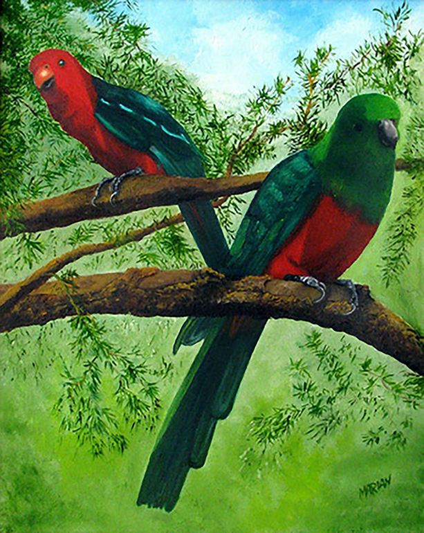 Parrots